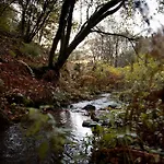 Tiny House Nature 11 - Tiny Village Harz