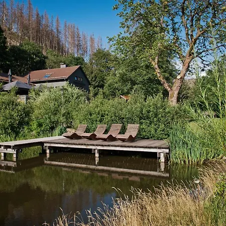 Tiny House Nature 11 - Tiny Village Harz *