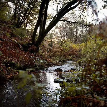 Tiny House Nature 11 - Tiny Village Harz