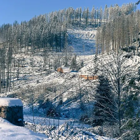 Feriehus Tiny House Nature 11 - Tiny Village Harz *