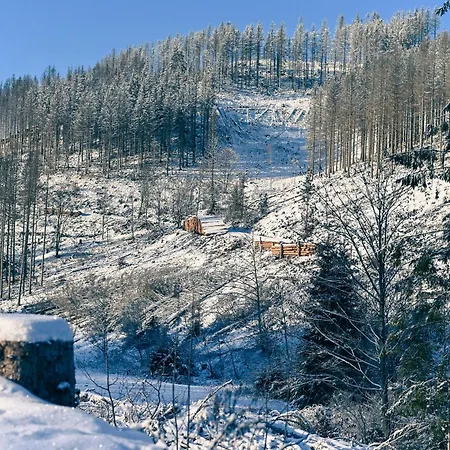Tiny House Nature 11 - Tiny Village Harz Feriehus