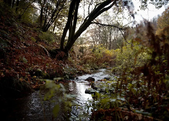 Tiny House Nature 11 - Tiny Village Harz