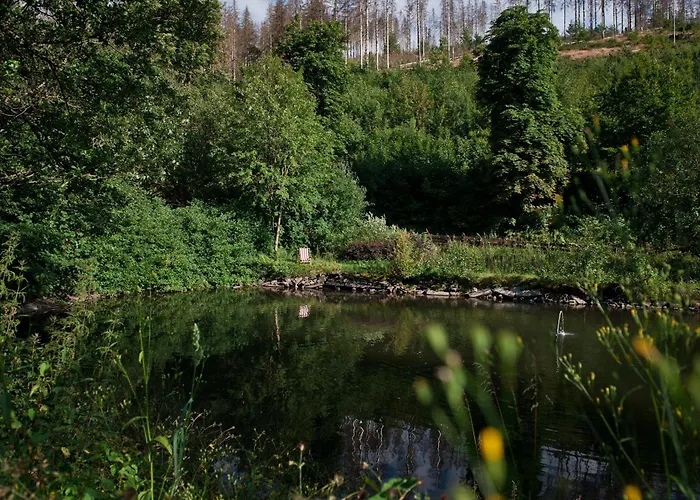 Дом отдыха Tiny House Nature 11 - Tiny Village Harz *
