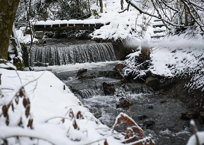 Tiny House Nature 11 - Tiny Village Harz Osterode am Harz