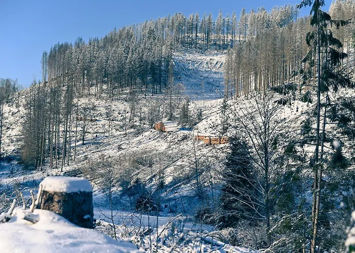 Tiny House Nature 11 - Tiny Village Harz Дом отдыха
